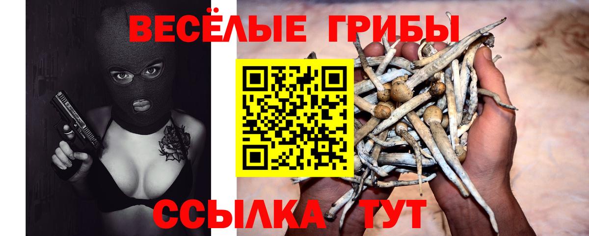 Советский  сколько стоит  Вход с VPN  Псилоцибиновые грибы GOLDEN TEACHER 